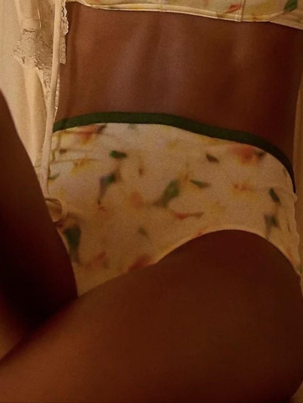 NWT Anthropologie LyreBird Stretch Satin High-Waisted Bikini Briefs